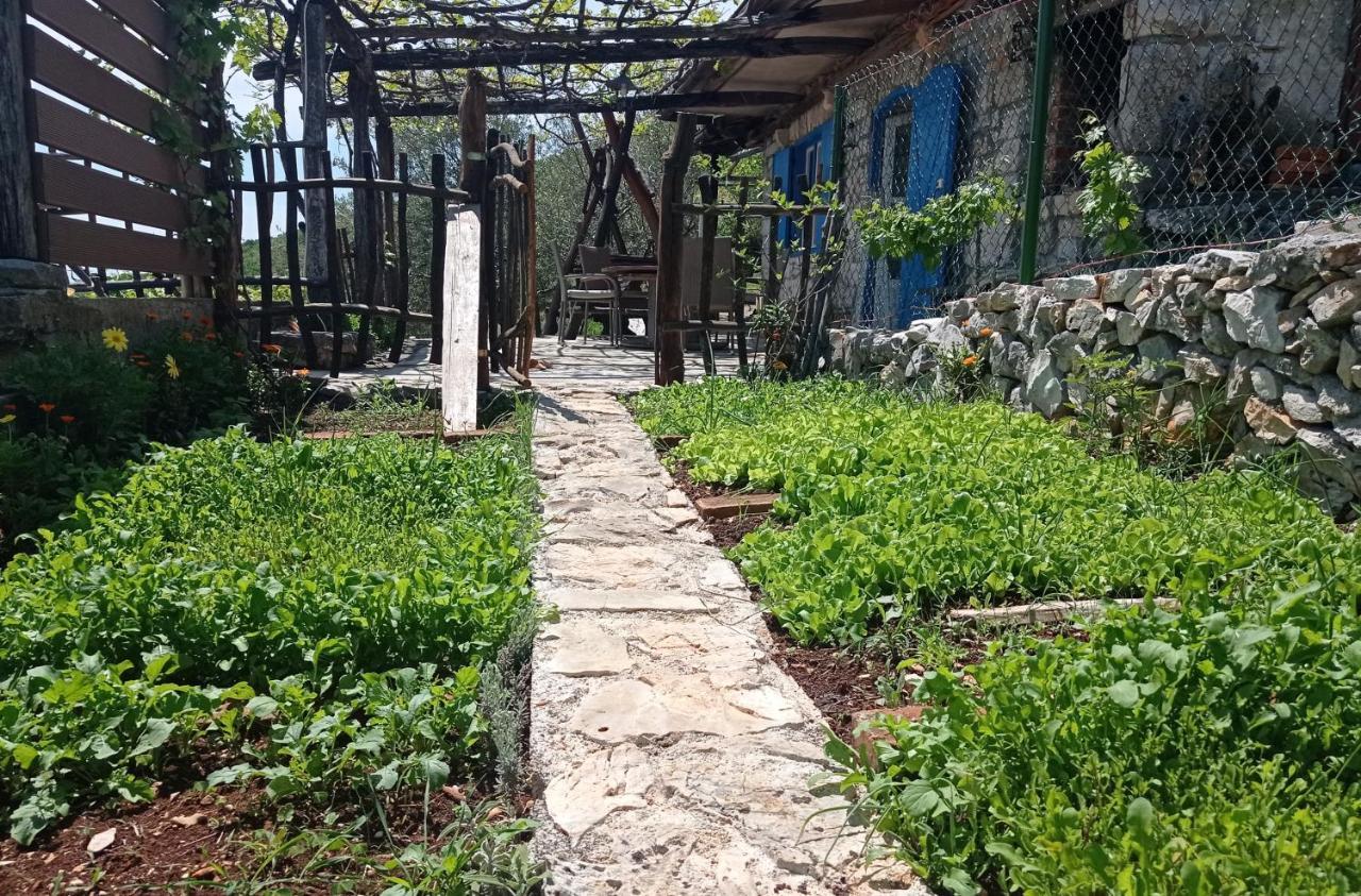 Casa Delle Olive Villa Moscenicka Draga Exterior photo