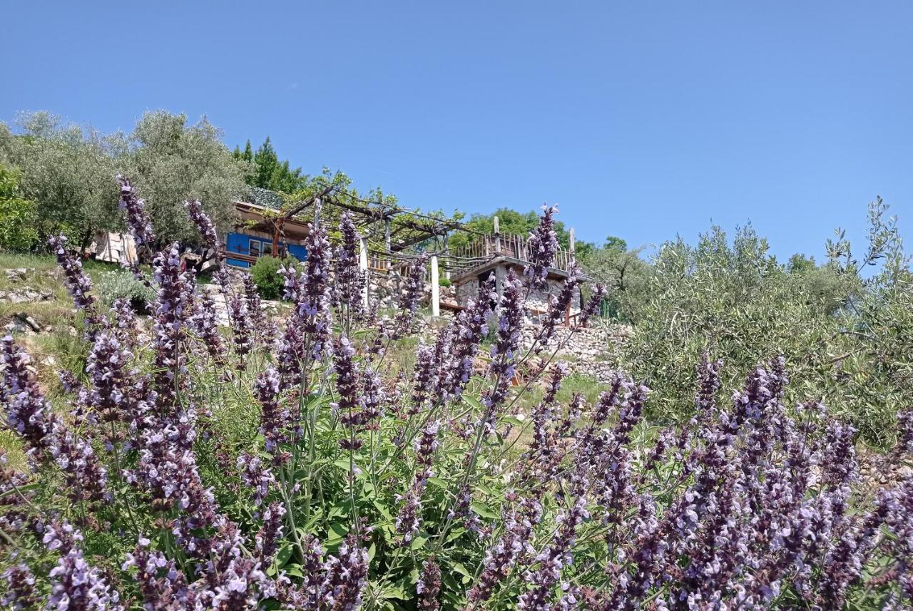 Casa Delle Olive Villa Moscenicka Draga Exterior photo